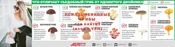 прущая мука Верея