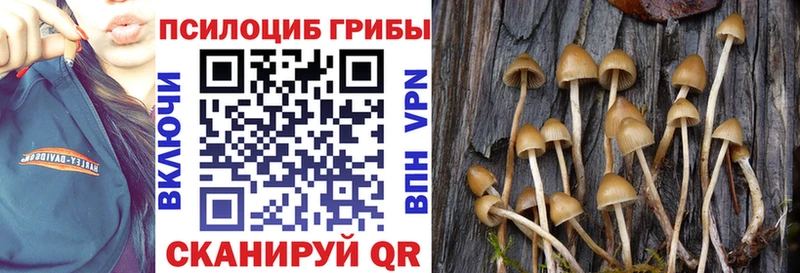 KRAKEN ССЫЛКА Шахты Псилоцибиновые грибы ЛСД